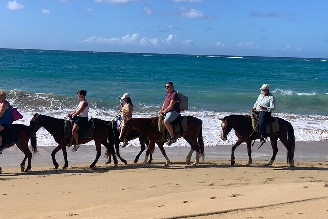 Miches Beach Horseback Riding - FAQs