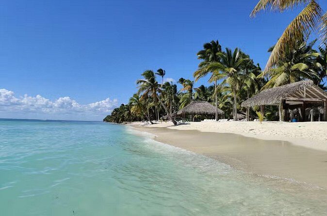 Miches Catamaran Boat to Saona Island with Buffet Lunch - Who Should Consider This Tour?