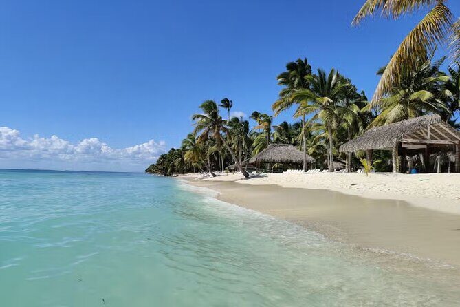 Miches Catamaran Boat to Saona Island with Buffet Lunch - FAQs