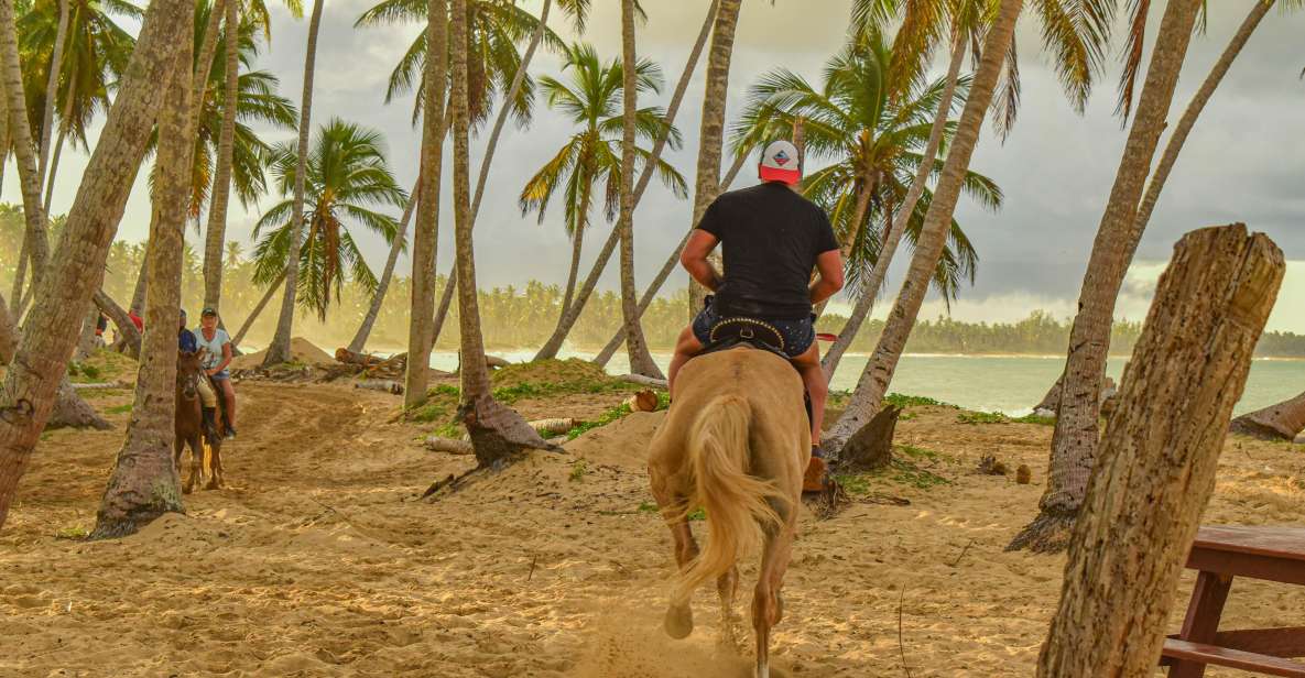 Miches: Full Day Tour Wild District Experience. - Key Points