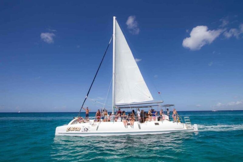 Miches: Isla Saona Day Trip with Catamaran & Lunch - An Overview of the Experience