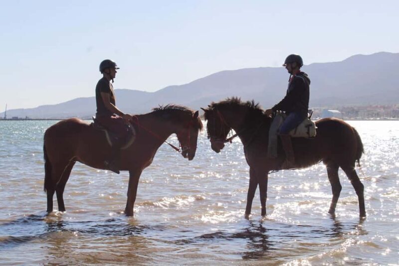 Miches: Montaña Redonda, Chocolate Factory & Horse Ride - Final Thoughts