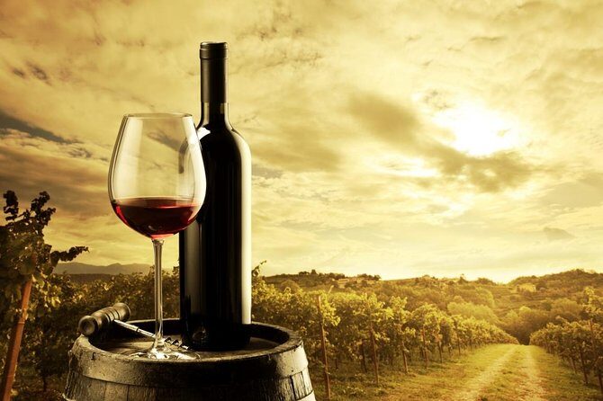 Micro-Group McLaren Vale Wine Tour from Adelaide - The Practical Details