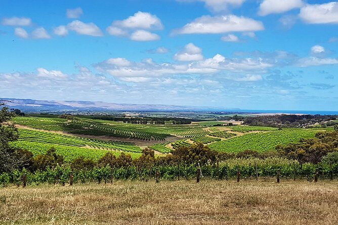 Micro-Group McLaren Vale Wine Tour from Adelaide - FAQ