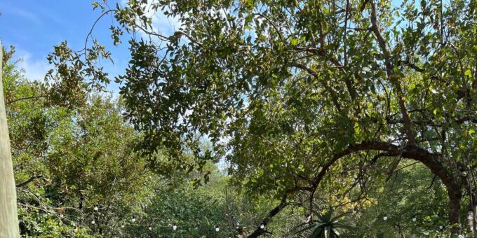 Mid-Range 5 Day All-Inclusive Kruger& Panorama Tour From JHB - Frequently Asked Questions