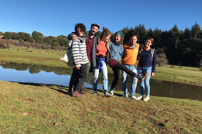 Middle Atlas , Cedar Forest and Azrou Day Trip From Fez - Highlights of the Day Trip