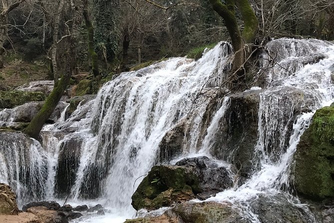 Middle Atlas , Cedar Forest and Azrou Day Trip From Fez - Meeting and Pickup Locations