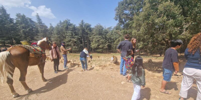 Middle Atlas Day Trip From Fes - Discovering Dait Aoua