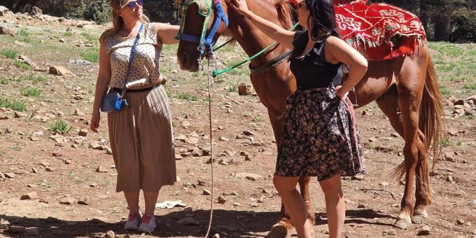 Middle Atlas Day Trip From Fes - Visiting Ifrane and Azrou