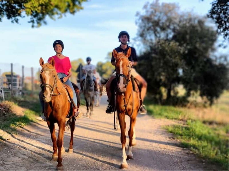 Middle day out of Rome: horsback riding adventure with meals - The Culinary Experience: A Hearty Italian Meal