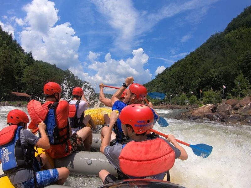 Middle Ocoee Whitewater Rafting Trip- Top Choice - An Overview of the Middle Ocoee Experience