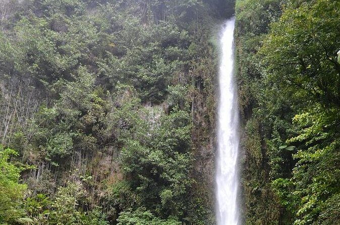 Middleham Falls Hike and Ti'tou Gorge Half-Day Excursion - Final Considerations