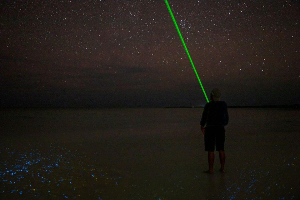 Midnight Holbox: Bioluminescence Kayaking Experience - Key Points