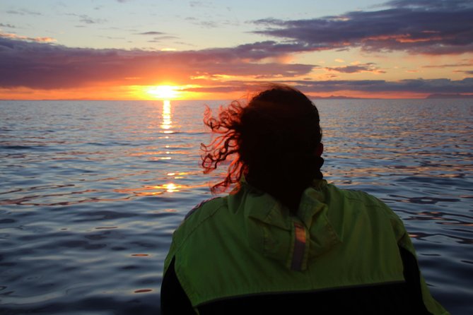 Midnight Sun Whale Watching From Reykjavik - Whats Included in the Experience