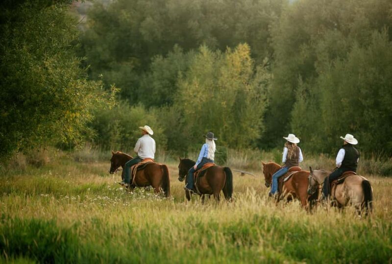 Midway, Utah: Horseback Riding Tour with Guide - An In-Depth Look at the Horseback Riding Experience