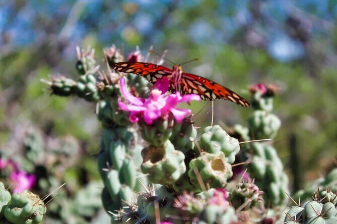Migriño Beach ATV Extreme Adventure - FAQ
