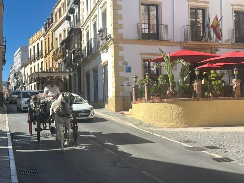Mijas: Private VIP Tour Ronda and Setenil De Las Bodegas - Customization and Experience