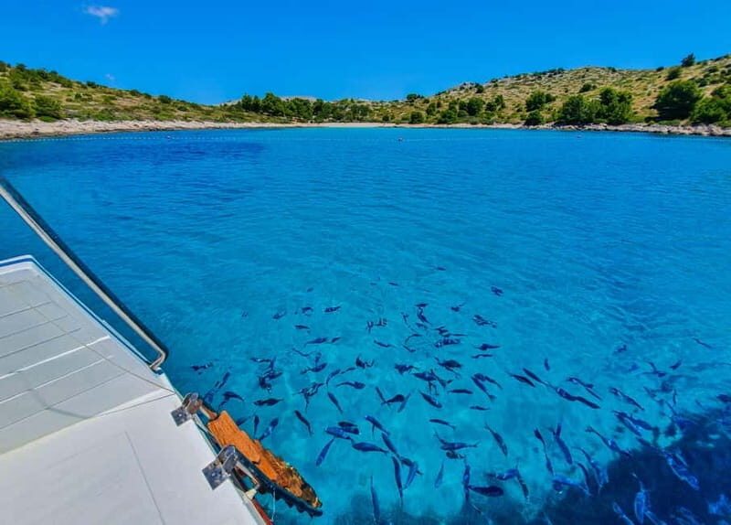 Mikado Kornati Excursion with snorkeling and hiking stops - Practical Details and Tips