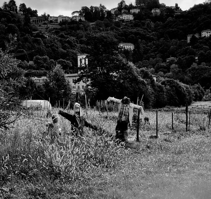 Milan: Bergamo High Town and Wine Tasting Tour - Who Will Love This Tour?
