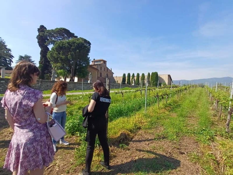 Milan: Brescia & Franciacorta with Wine Tasting Small Group - Key Points
