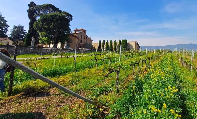 Milan: Brescia & Franciacorta with Wine Tasting Small Group - Practicalities & Tips