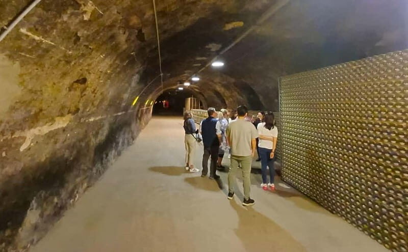 Milan: Brescia & Franciacorta with Wine Tasting Small Group - Authentic Feedback from Travelers