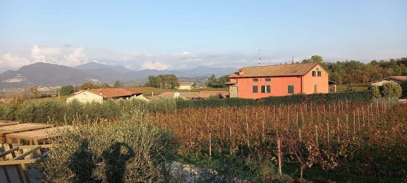 Milan: Brescia & Franciacorta with Wine Tasting Small Group - Who Is This Tour Best For?