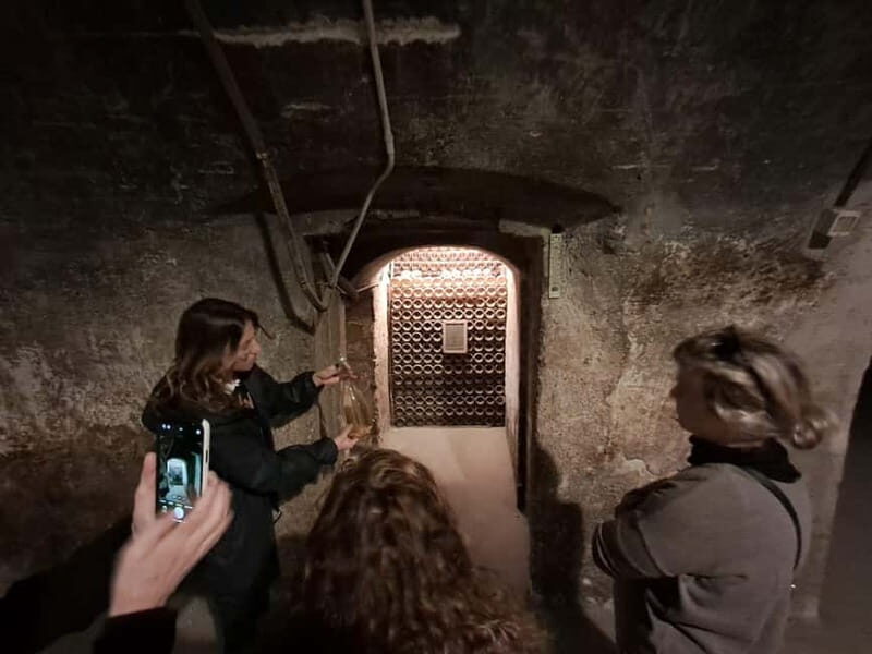 Milan: Brescia & Franciacorta with Wine Tasting Small Group - The Sum Up