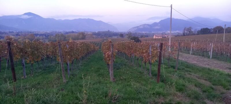 Milan: Brescia & Franciacorta with Wine Tasting Small Group - Final Thoughts  