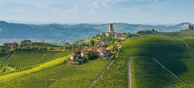 Milan Day Trips: Barolo Wine Tour with a Private Driver - Introduction: A Taste of Piedmont in a Day