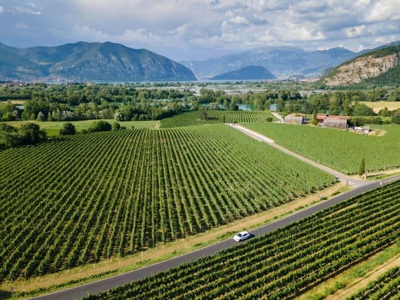 Milan: Lake Iseo & Franciacorta Wine Region with Cruise - Key Points