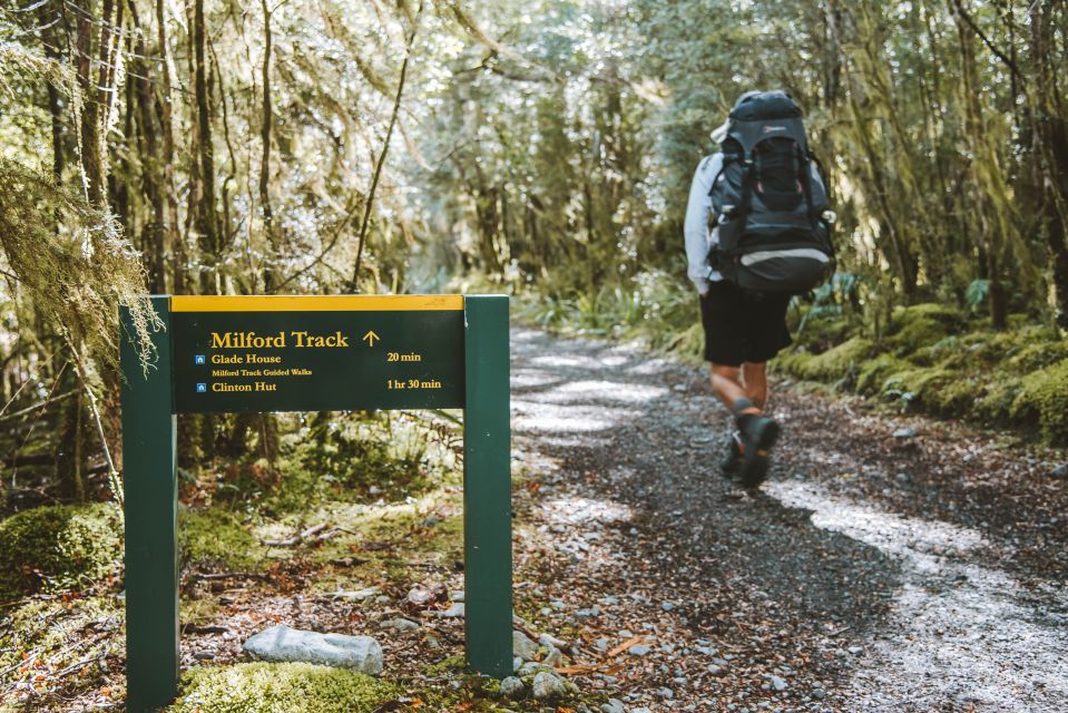 Milford Day Walk | Milford Track Day Walk From Lake Te Anau - Key Points