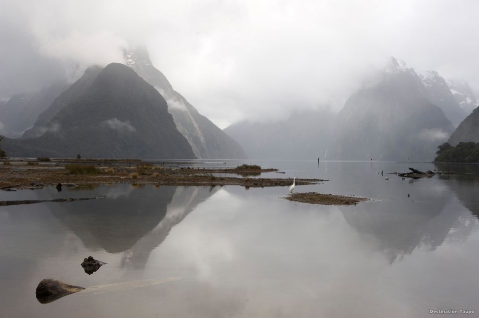 Milford Sound: 1.5-Hour Helicopter Tour With Two Landings - Key Points