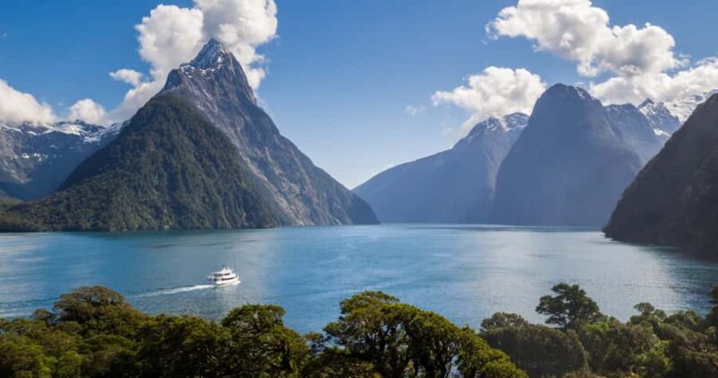 Milford Sound: Boutique Small-Boat Cruise - Final Thoughts: Is This the Right Milford Sound Tour for You?