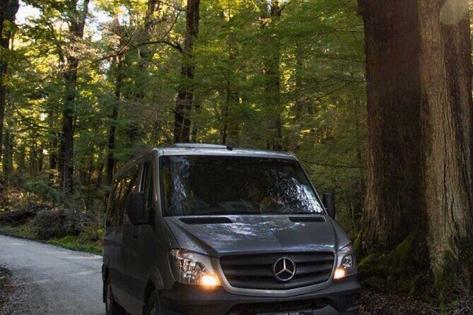 Milford Sound Business Class from Queenstown Cruise Lunch - Scenic Return Options: An Extra Touch of Luxury