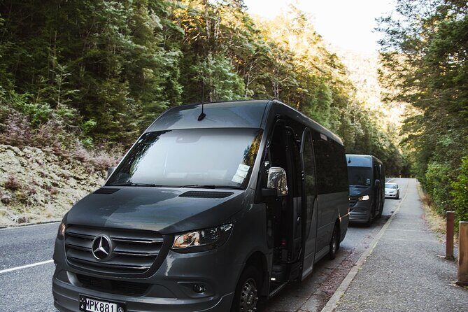 Milford Sound Business Class from Queenstown Cruise Lunch - Authentic Experiences and Customer Feedback