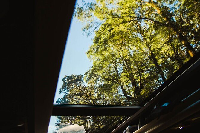 Milford Sound Business Class from Queenstown Cruise Lunch - Final Thoughts