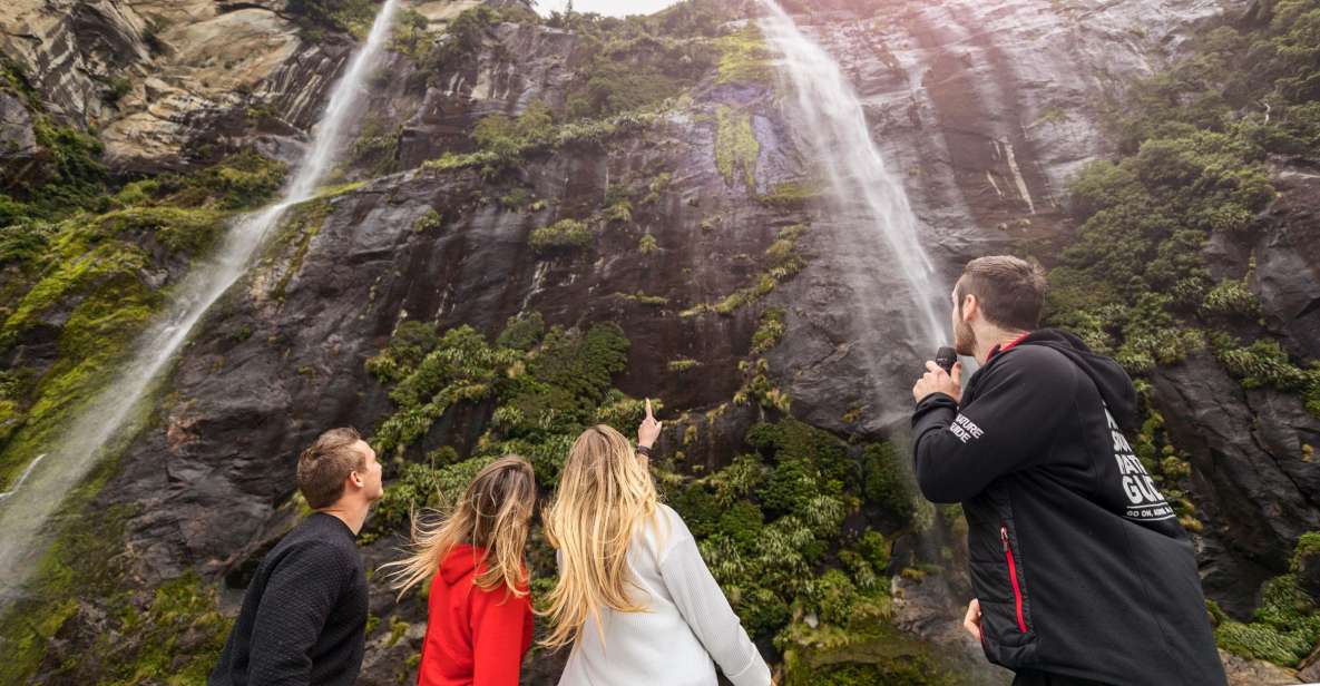 Milford Sound: Cruise and Underwater Observatory - Experience Description