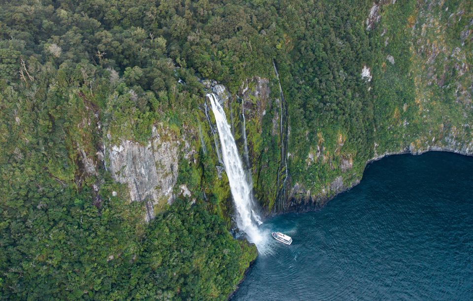 Milford Sound: Cruise and Underwater Observatory - Important Information