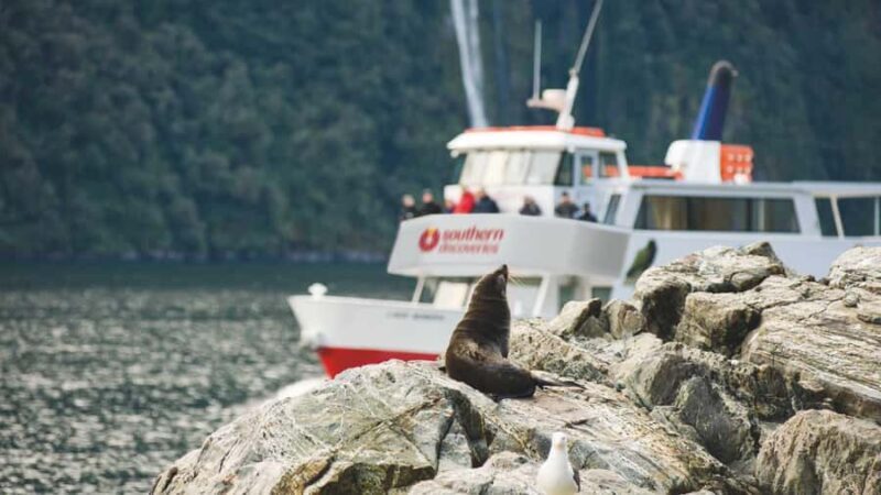 Milford Sound: Discover More on Our Longest Cruise - Key Points
