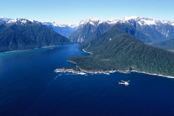 Milford Sound Highlights - 204 - Essential Requirements