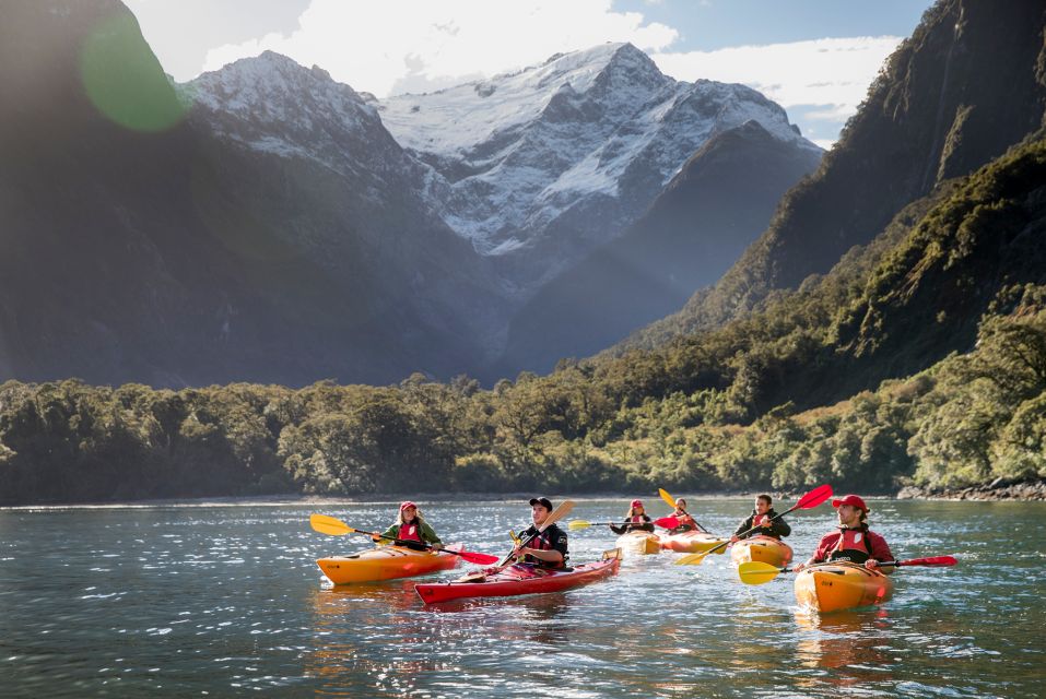 Milford Sound: Kayaking Tour - Key Points