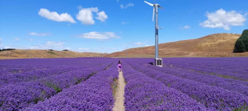 Milford Sound, Mount Cook & More: 4 Day Tour from Queenstown - Key Points