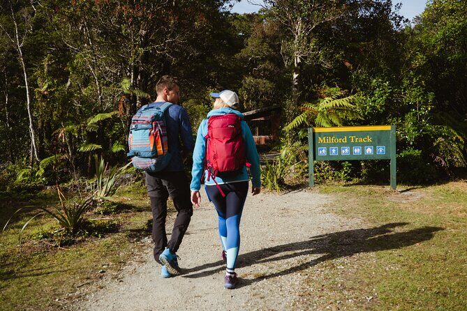 Milford Sound Nature Cruise and Self-Guided Scenic Track Walk - An In-Depth Look at the Milford Sound Experience