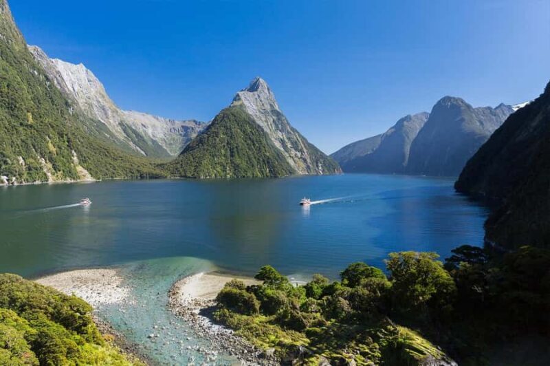 Milford Sound: Nature Cruise & Milford Track Walk - An In-Depth Look at the Experience