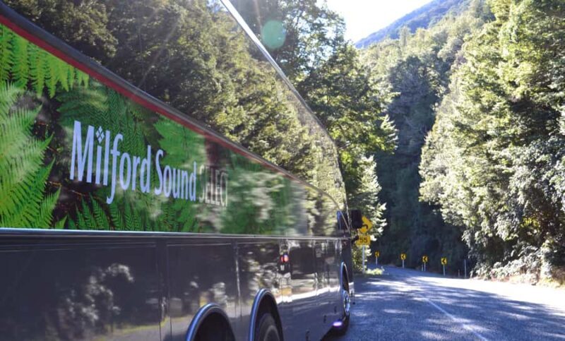 Milford Sound Premium Day Tour and Cruise from Te Anau - A Cozy, Scenic Journey To Milford Sound