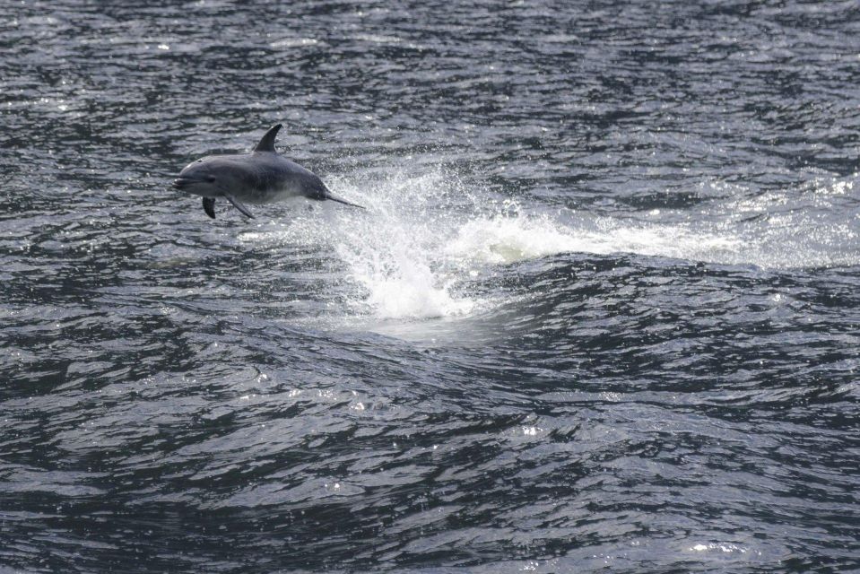 Milford Sound: Premium Small Group Cruise With Canape Lunch - Frequently Asked Questions