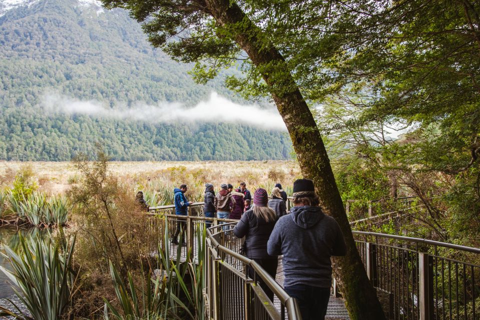 Milford Sound: Premium Small Group Tour From Queenstown - Departure and Return