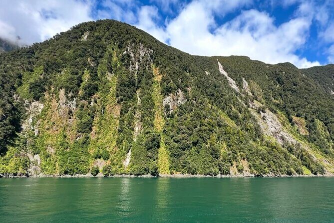 Milford Sound Private Day Trip from Queenstown via Te Anau - Final Thoughts: Is This Tour For You?
