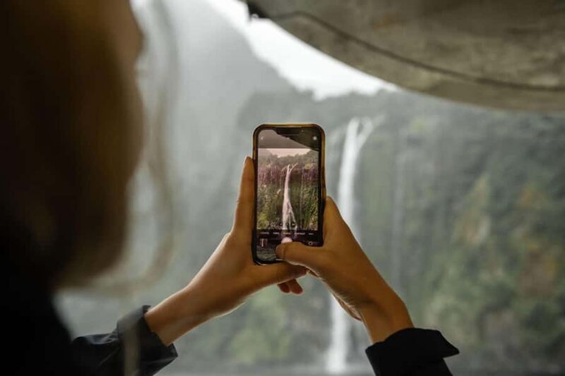 Milford Sound: Wildlife & Nature Cruises - Highlights of the Experience